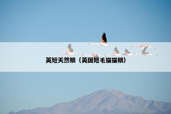 英短天然粮（英国短毛猫猫粮）