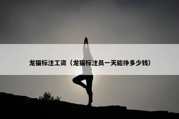 龙猫标注工资（龙猫标注员一天能挣多少钱）