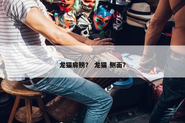 龙猫肩膀？ 龙猫 侧面？