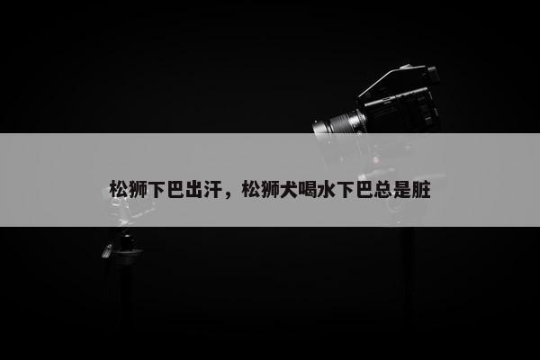 松狮下巴出汗，松狮犬喝水下巴总是脏