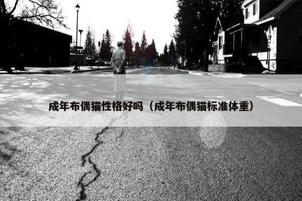 成年布偶猫性格好吗（成年布偶猫标准体重）