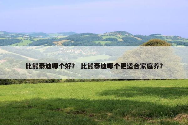 比熊泰迪哪个好？ 比熊泰迪哪个更适合家庭养？