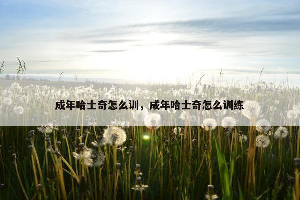 成年哈士奇怎么训，成年哈士奇怎么训练