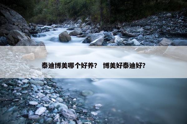 泰迪博美哪个好养？ 博美好泰迪好？