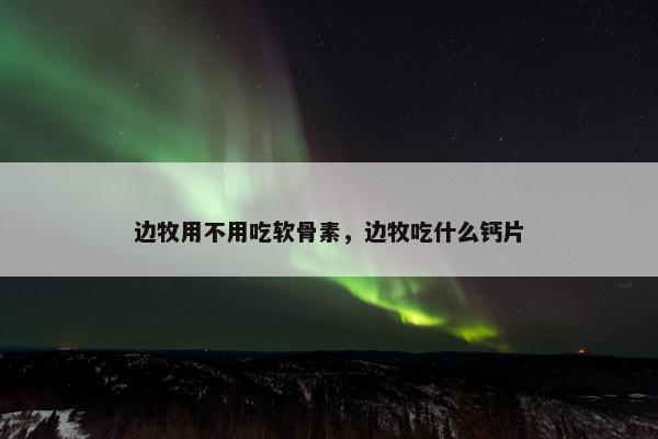 边牧用不用吃软骨素，边牧吃什么钙片