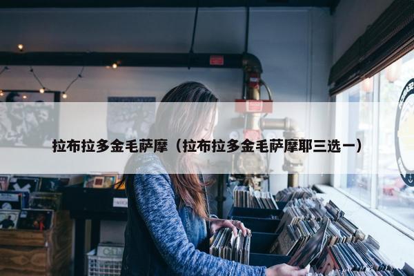 拉布拉多金毛萨摩（拉布拉多金毛萨摩耶三选一）