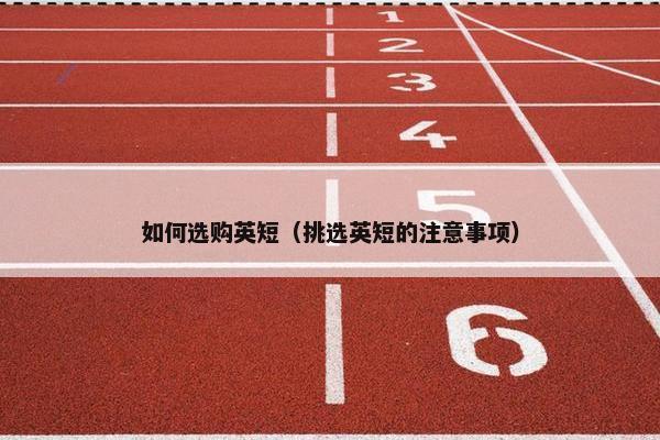 如何选购英短（挑选英短的注意事项）