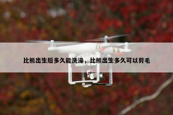 比熊出生后多久能洗澡，比熊出生多久可以剪毛