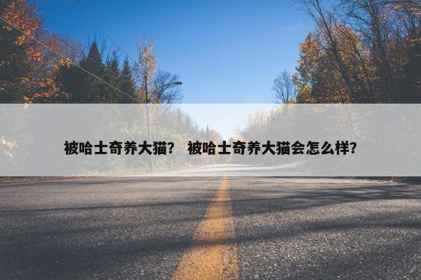被哈士奇养大猫？ 被哈士奇养大猫会怎么样？