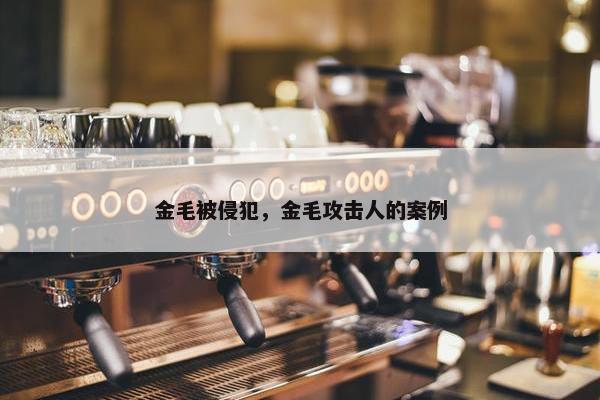 金毛被侵犯，金毛攻击人的案例
