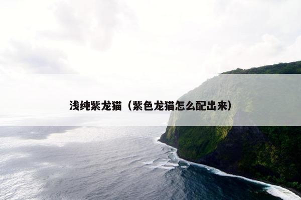浅纯紫龙猫（紫色龙猫怎么配出来）
