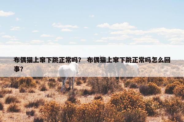 布偶猫上窜下跳正常吗？ 布偶猫上窜下跳正常吗怎么回事？