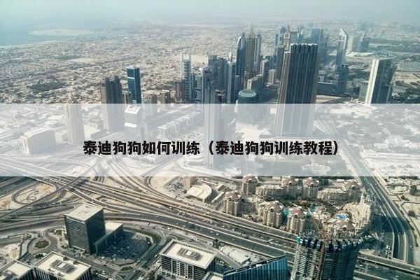 泰迪狗狗如何训练（泰迪狗狗训练教程）