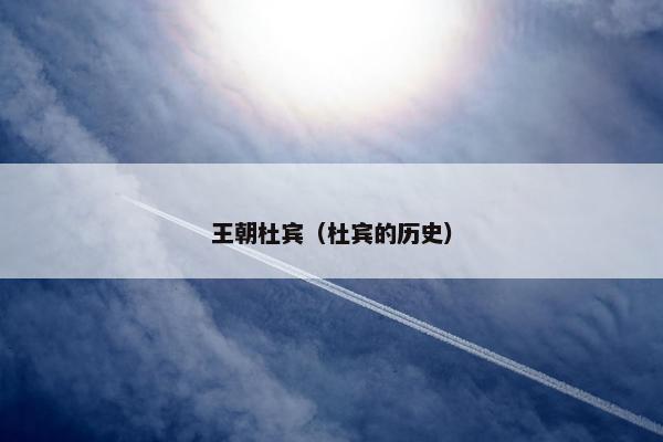 王朝杜宾（杜宾的历史）