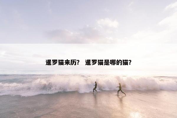暹罗猫来历？ 暹罗猫是哪的猫？