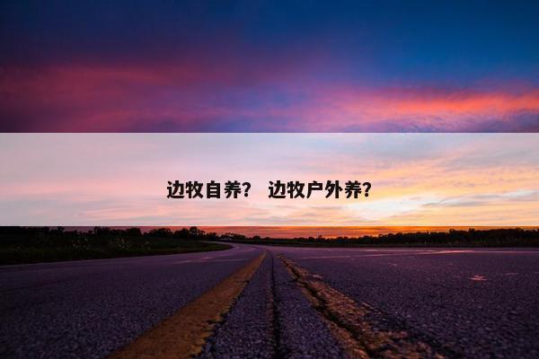 边牧自养？ 边牧户外养？