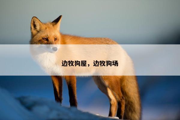 边牧狗屋，边牧狗场