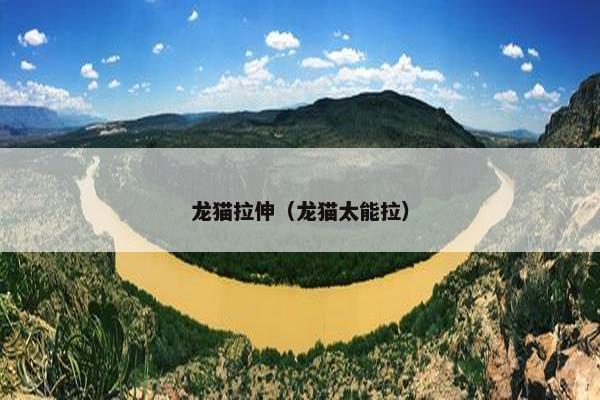 龙猫拉伸（龙猫太能拉）