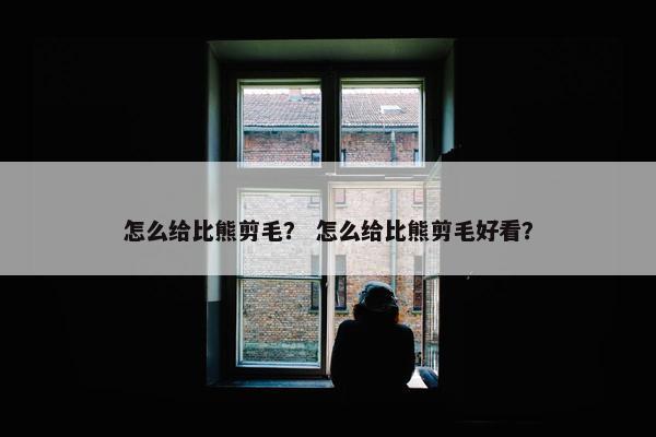 怎么给比熊剪毛？ 怎么给比熊剪毛好看？