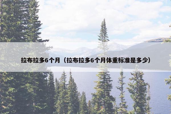 拉布拉多6个月（拉布拉多6个月体重标准是多少）