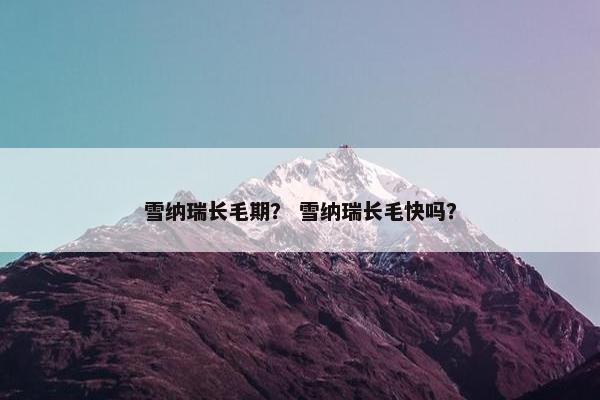 雪纳瑞长毛期？ 雪纳瑞长毛快吗？