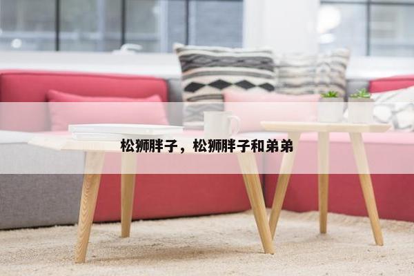 松狮胖子，松狮胖子和弟弟