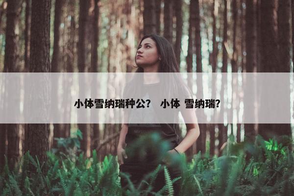 小体雪纳瑞种公？ 小体 雪纳瑞？