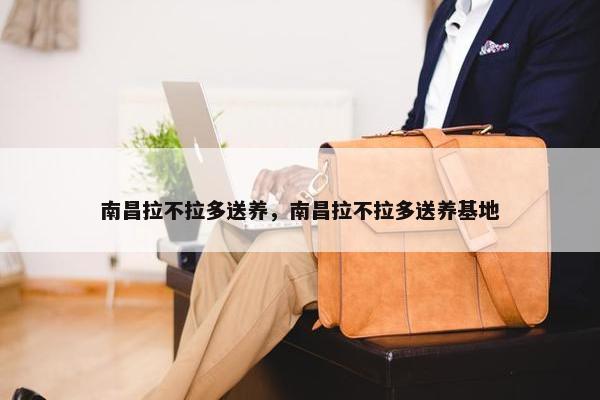 南昌拉不拉多送养，南昌拉不拉多送养基地