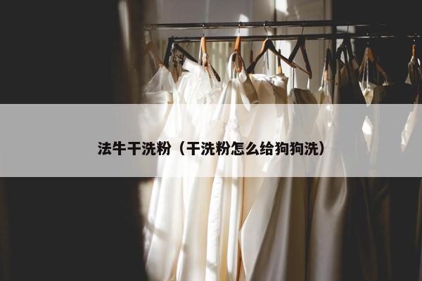 法牛干洗粉（干洗粉怎么给狗狗洗）