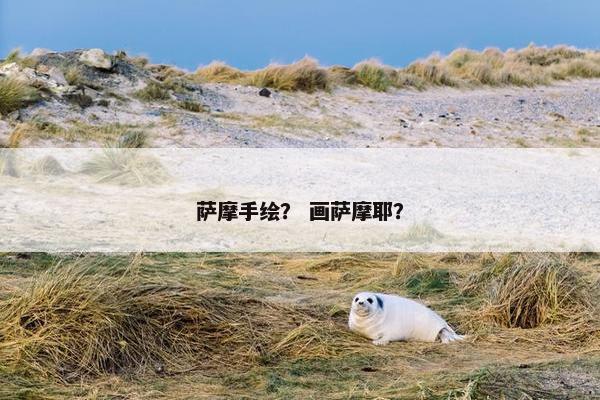 萨摩手绘？ 画萨摩耶？