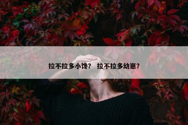 拉不拉多小馋？ 拉不拉多幼崽？
