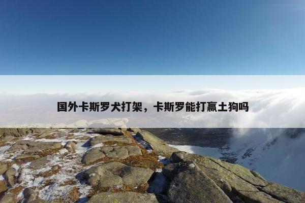 国外卡斯罗犬打架，卡斯罗能打赢土狗吗