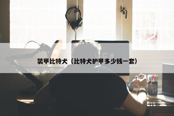 装甲比特犬（比特犬护甲多少钱一套）