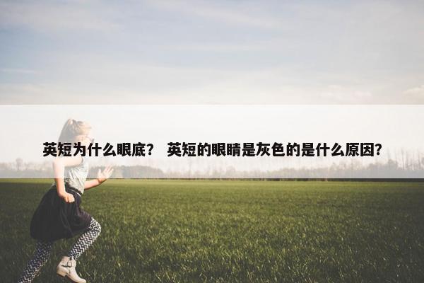 英短为什么眼底？ 英短的眼睛是灰色的是什么原因？
