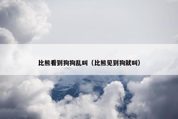 比熊看到狗狗乱叫（比熊见到狗就叫）