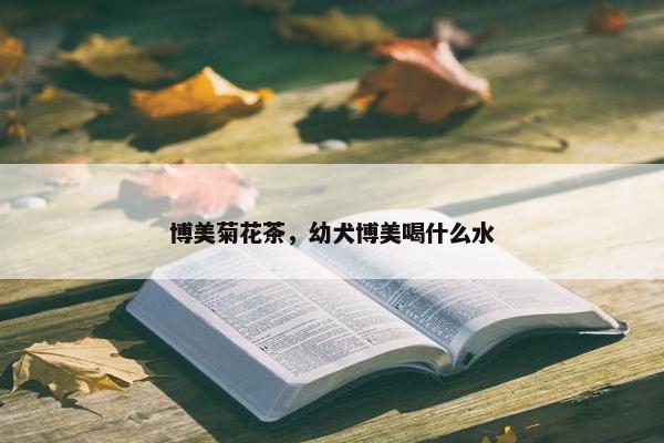 博美菊花茶，幼犬博美喝什么水