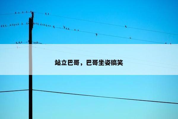 站立巴哥，巴哥坐姿搞笑