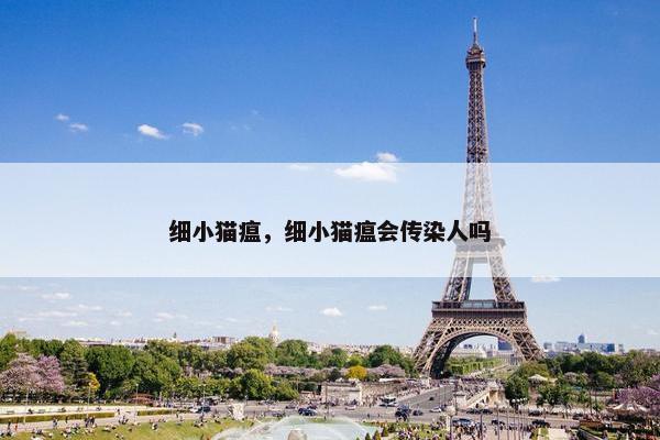 细小猫瘟，细小猫瘟会传染人吗