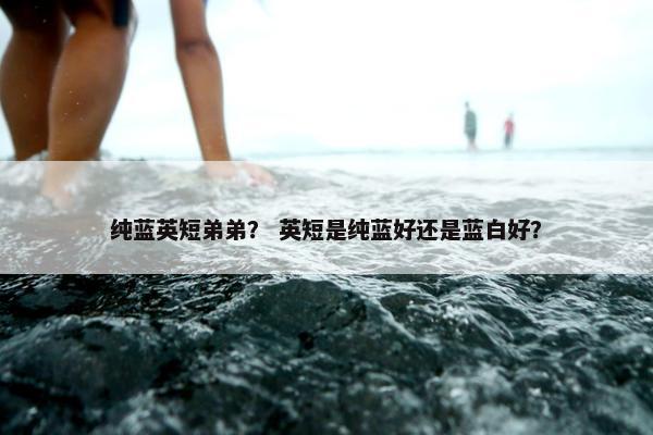 纯蓝英短弟弟？ 英短是纯蓝好还是蓝白好？