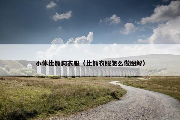 小体比熊狗衣服（比熊衣服怎么做图解）