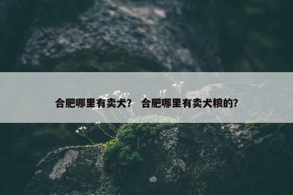 合肥哪里有卖犬？ 合肥哪里有卖犬粮的？