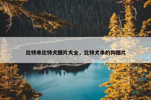 比特串比特犬图片大全，比特犬串的狗图片