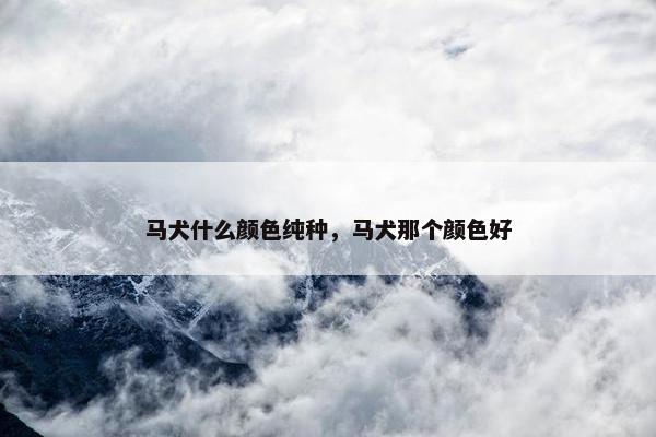 马犬什么颜色纯种，马犬那个颜色好