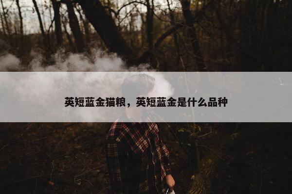 英短蓝金猫粮，英短蓝金是什么品种