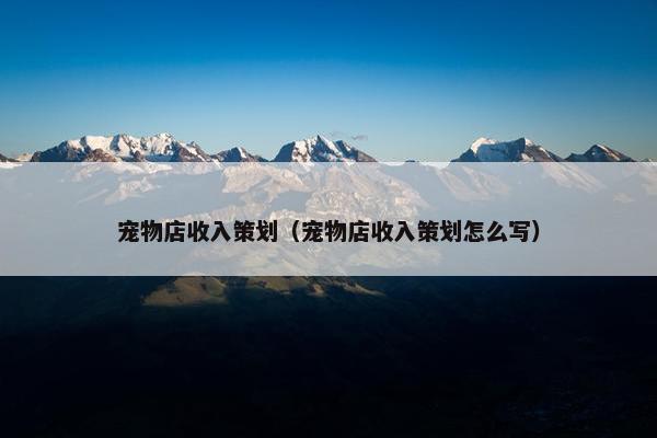 宠物店收入策划（宠物店收入策划怎么写）