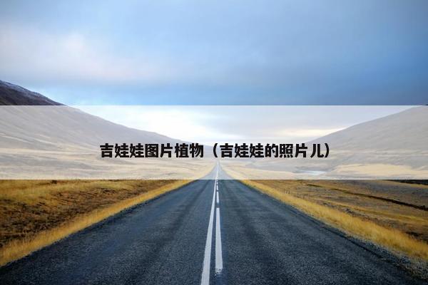 吉娃娃图片植物（吉娃娃的照片儿）