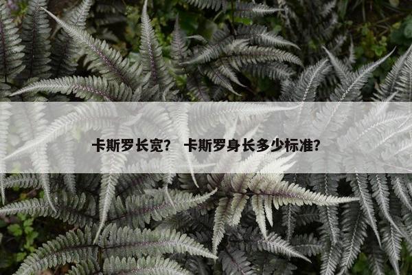 卡斯罗长宽？ 卡斯罗身长多少标准？