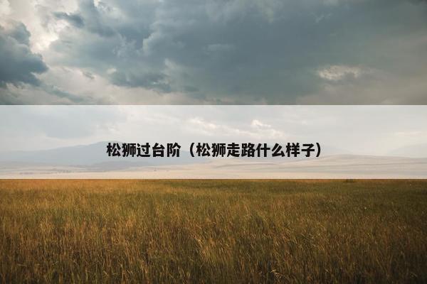 松狮过台阶（松狮走路什么样子）