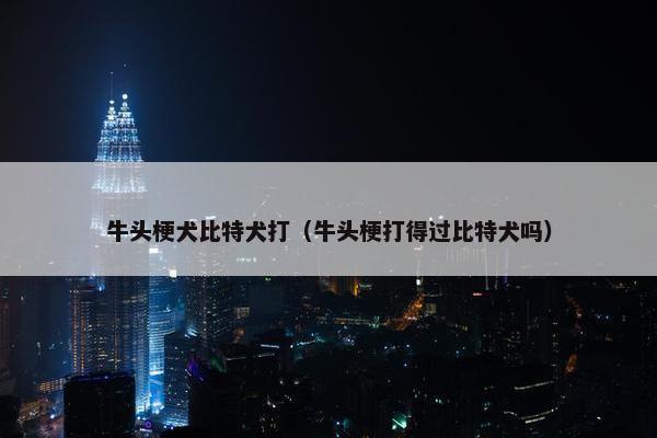 牛头梗犬比特犬打（牛头梗打得过比特犬吗）