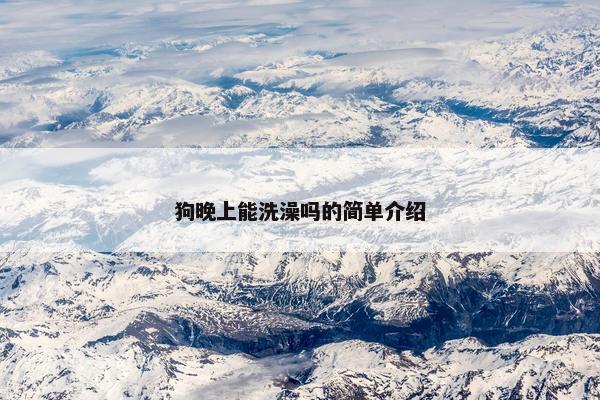 狗晚上能洗澡吗的简单介绍